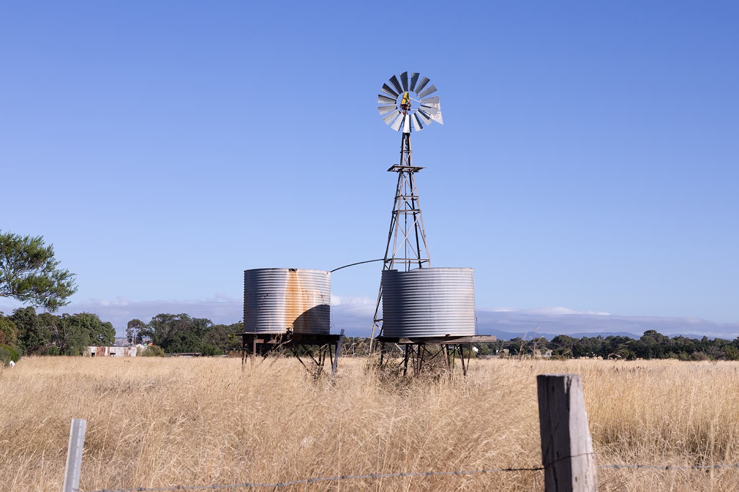 St Ronans Gallery 01