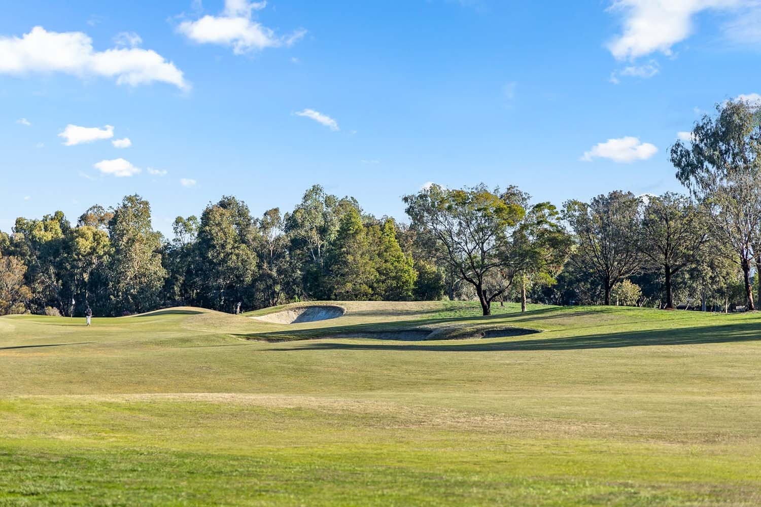 ALKYRA BEVERIDGE 2857 LR